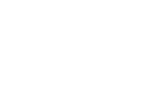 repuestos y accesorios